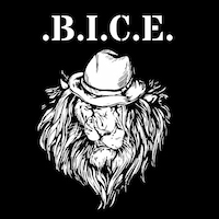Bice Band Logo